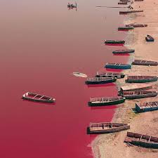 image (9)